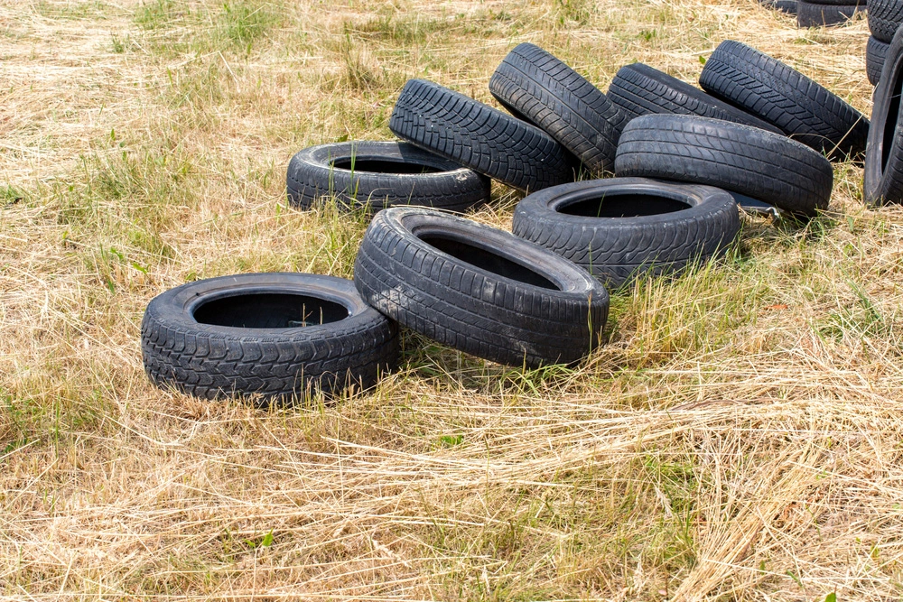 Junk Removal in Eleele, Hawaii (154)